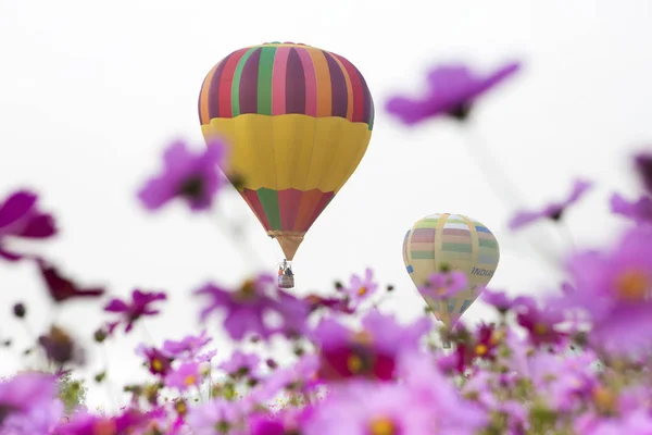 Sıcak hava balonları çiçekli — Stok fotoğraf