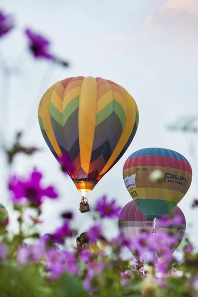 Sıcak hava balonları çiçekli — Stok fotoğraf