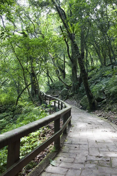 Camino en verde montaña Keelung — Foto de Stock