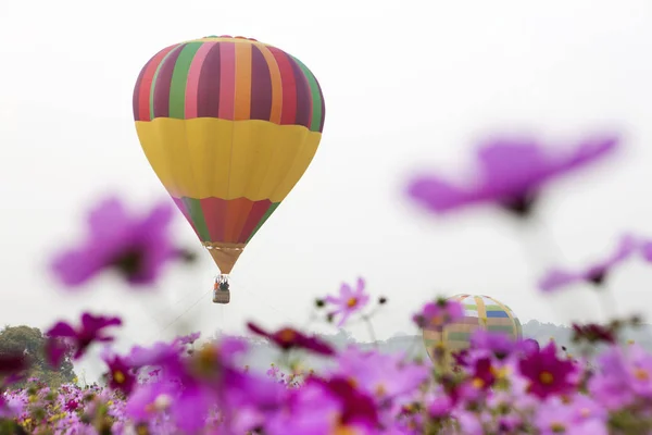 Sıcak hava balonu çiçekli — Stok fotoğraf