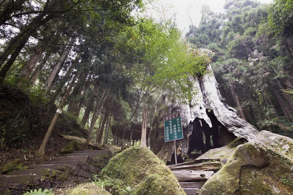 Parque Cihujianggongtongxiang en la ciudad de Taoyuan — Foto de Stock