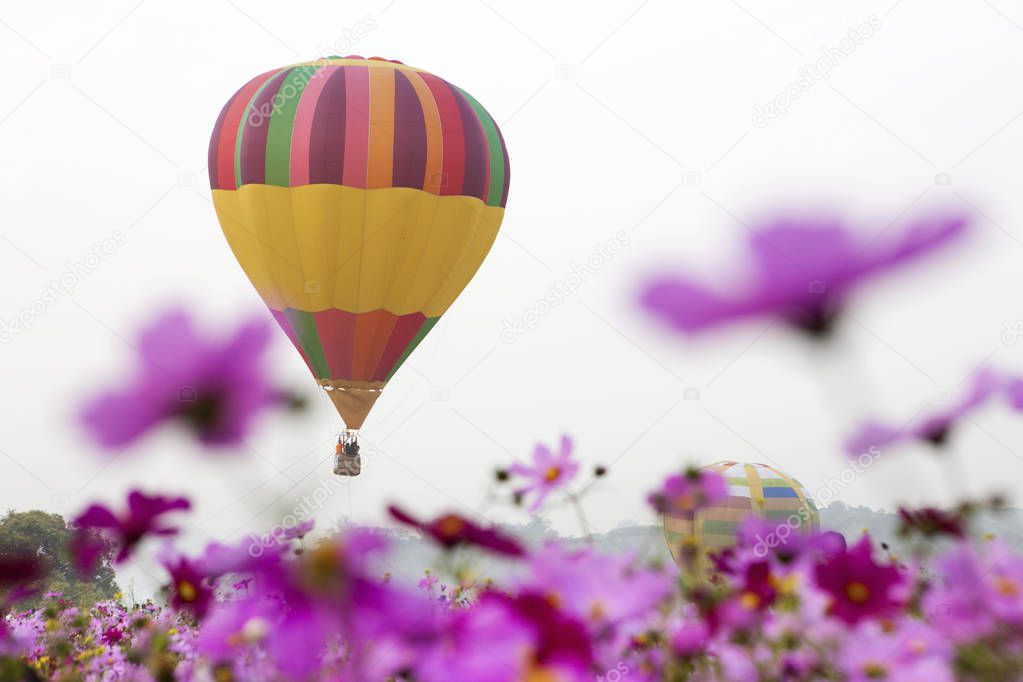 hot air balloon with flowers