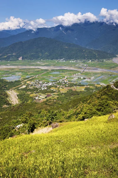 yeşil alan ile binalar