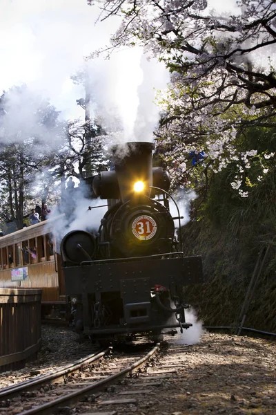 İtme-çekme tren Tayvan