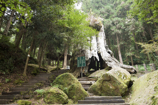 Stone stairs near green forest in Taiwan