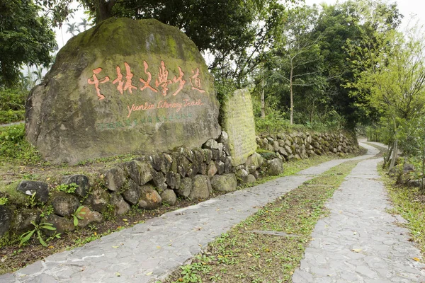 Floresta verde com estrada — Fotografia de Stock