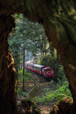 Ali tren changhua yeşil orman Tayvan