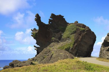 Güzellik ejderha kafa Rock Tayvan orkide adada