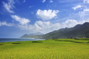 shi yusan manzara alan Tayvan görünümünü