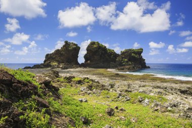 Güzellik ejderha kafa Rock Tayvan orkide adada