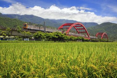kecheng demir köprü Tayvan yeşil alan yakınındaki tren ile
