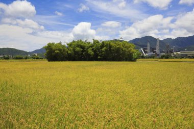 longde sanayi bölgesi Sonbahar zaman