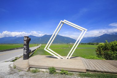 Beyaz kare kahverengi Bulvarı'Chihshang, Taitung, Tayvan