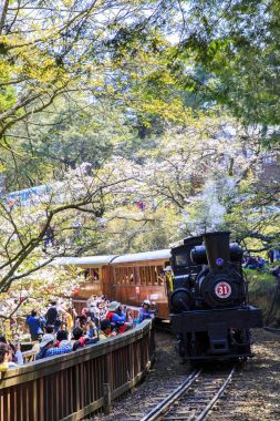 changhua Tayvan bahar buharlı tren