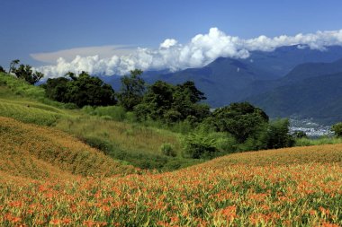 güzel peyzaj alanı ve yeşil dağ yeni Taipei, Tayvan