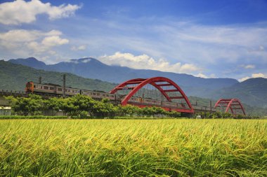 treni yakınında yeşil alan Tayvan ile kırmızı Huang kecheng demir köprü
