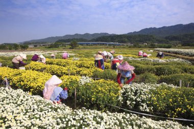 Tanınmayan insanlar alan, Kasımpatı, Güney Vietnam üzerinde çalışma