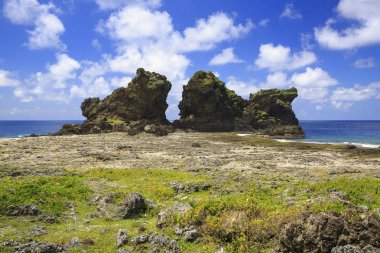 Güzellik ejderha kafa Rock Tayvan orkide adada
