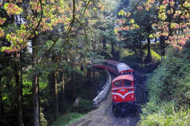 Ali tren changhua yeşil orman Tayvan