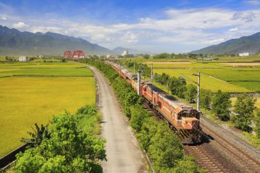 kecheng demir köprü Tayvan yeşil alan yakınındaki tren ile