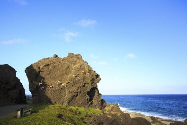 Güzellik ejderha kafa Rock Tayvan orkide adada
