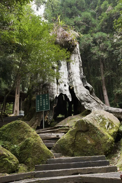 Montanha verde em wusong shimron — Fotografia de Stock