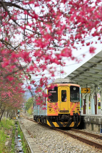 Ali Treno Changhua Stazione Taiwan — Foto Stock