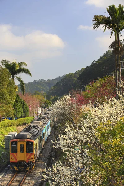 Ali tren hesing istasyonu yakınındaki dağ Tayvan