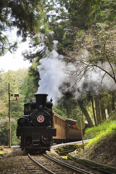 steam train in green forest of changhua in taiwan