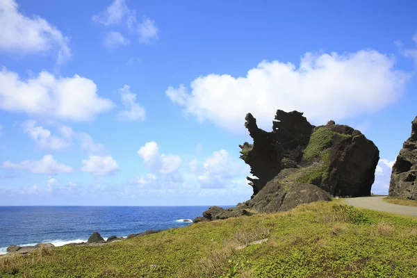 Güzellik ejderha kafa Rock Tayvan orkide adada