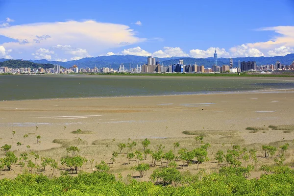 Tayvan kuzeydoğu kesiminde Keelung şehirdeki binaların görünümü.