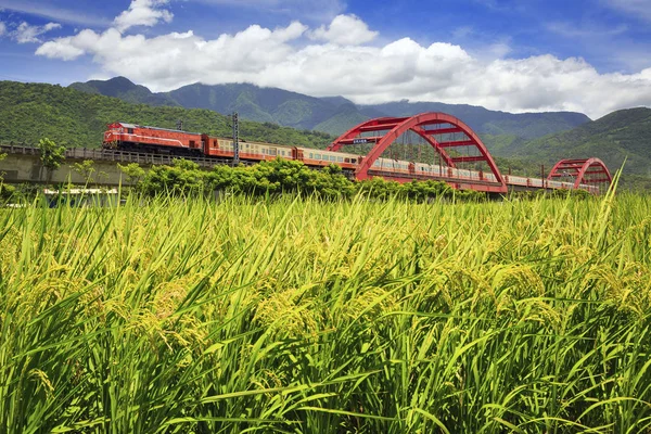 treni yakınında yeşil alan Tayvan ile kırmızı Huang kecheng demir köprü