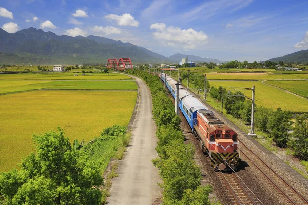 treni yakınında yeşil alan Tayvan ile kırmızı Huang kecheng demir köprü