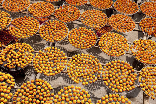 крупным планом сухого апельсина на солнце в Синьчжу, Тайвань
