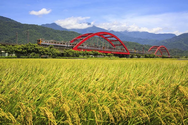 Kırmızı kecheng demir köprü Tayvan yeşil alan yakınındaki tren ile