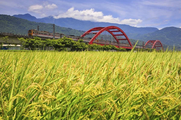 treni yakınında yeşil alan Tayvan ile kırmızı Huang kecheng demir köprü