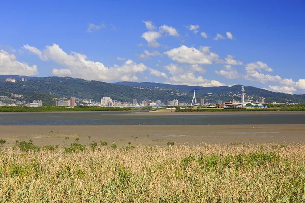 Krásná Krajina Žluté Podzimní Pole Nové Tchaj Pej Tchaj Wan — Stock fotografie