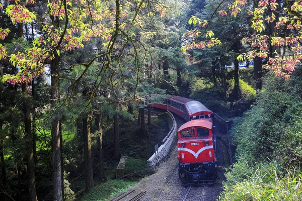 Ali tren changhua yeşil orman Tayvan