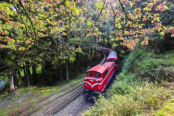 Ali tren changhua yeşil orman Tayvan
