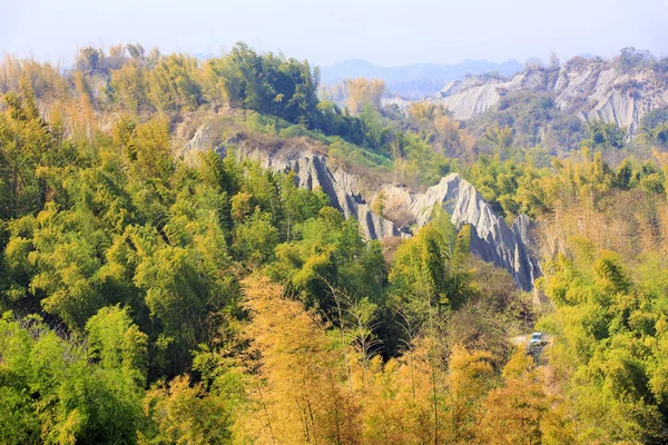 Erliao Shenmu Berg Met Bos Taiwan — Stockfoto