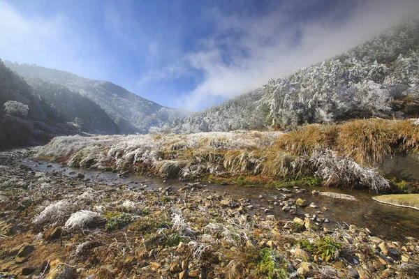 Piękne Góry Hehuanshan Zimie Centralnym Tajwanie — Zdjęcie stockowe