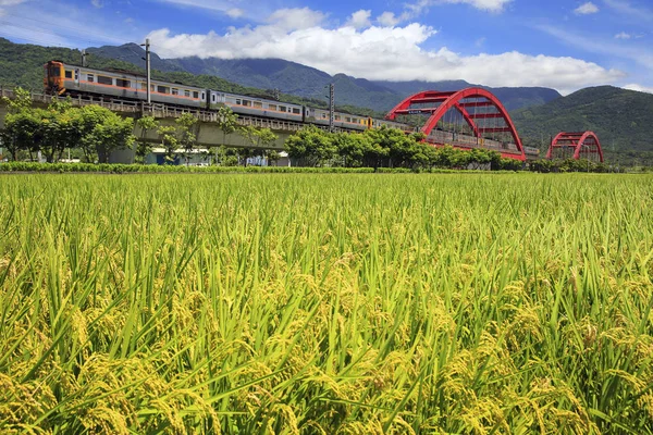 Kırmızı kecheng demir köprü Tayvan yeşil alan yakınındaki tren ile