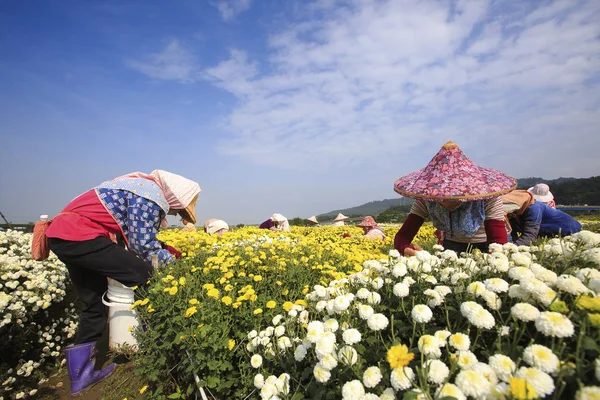 Tanınmayan insanlar alan, Kasımpatı, Güney Vietnam üzerinde çalışma