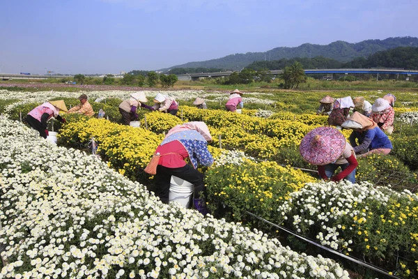Tanınmayan insanlar alan, Kasımpatı, Güney Vietnam üzerinde çalışma