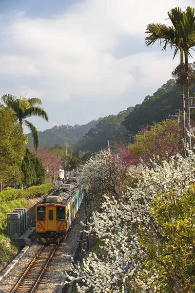 Ali tren hesing istasyonu yakınındaki dağ Tayvan