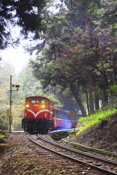 Ali tren changhua yeşil orman Tayvan