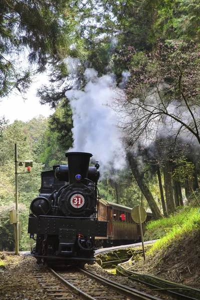 steam train in green forest of changhua in taiwan