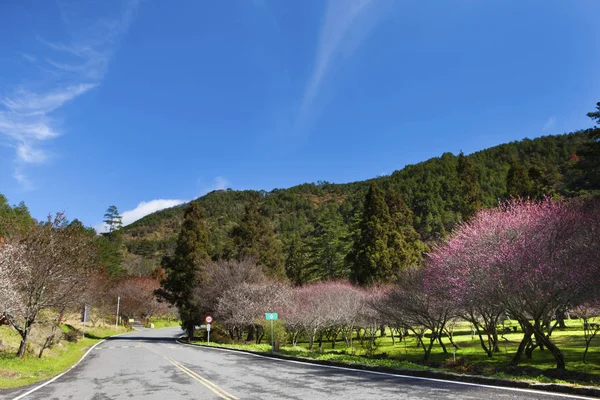 Bellissimo Paesaggio Montagna Verde Nella Nuova Taipei Taiwan — Foto Stock