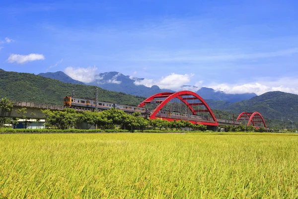 Puente Hierro Kecheng Rojo Con Tren Cerca Campo Verde Taiwan —  Fotos de Stock