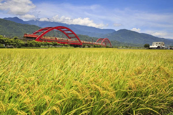 Kecheng Iron Bridge Train Green Field Taiwan — Stock Photo, Image